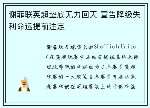 谢菲联英超垫底无力回天 宣告降级失利命运提前注定