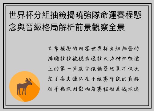 世界杯分組抽籤揭曉強隊命運賽程懸念與晉級格局解析前景觀察全景